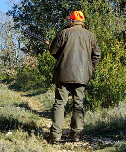 Deer Hunting AR Rifle: MMR Hunter