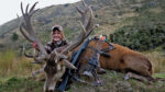 the proper red stag New Zealand hunting trip