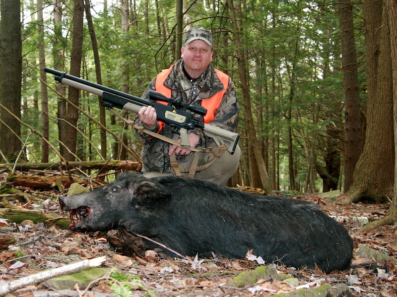 best air rifle for hunting
