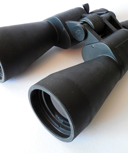 Top 5 Deer Hunting Binoculars That Give Good Value For Money