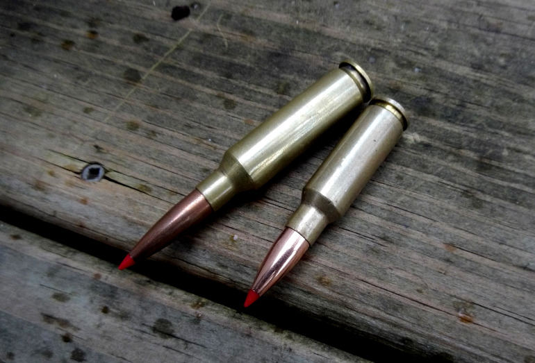 two bullets lying on a wooden floor